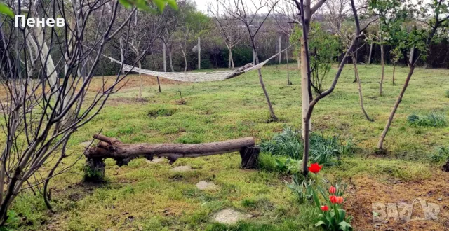 Място край Добрич