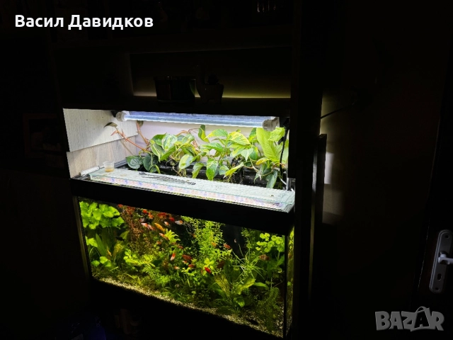 Аквариум с поставка EHEIM Vivaline LED 126 - антрацит, снимка 3 - Аквариуми - 52015829