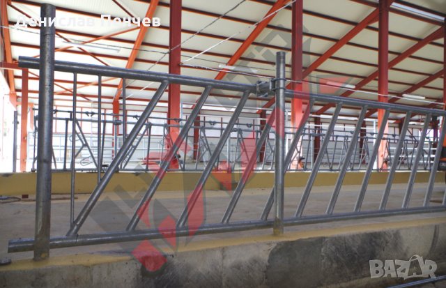 Хранителни решетки за отглеждане на крави и телета, снимка 4 - За селскостопански - 34653675