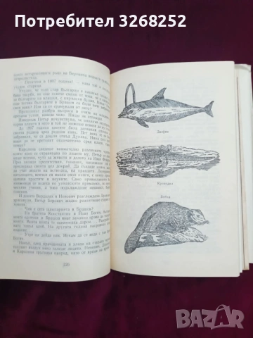 Петър Берон , снимка 2 - Художествена литература - 53039184