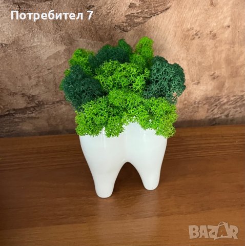 Декорация формата на зъб със скандинавски мъх , снимка 2 - Декорация за дома - 41789995