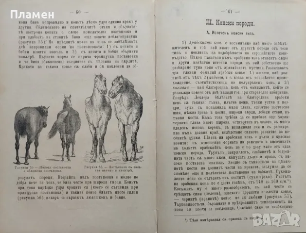 Коневъдство Павелъ Кулешовъ /1892/, снимка 7 - Антикварни и старинни предмети - 47534397