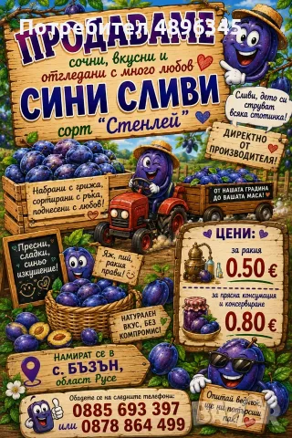 Продаваме сини сливи сорт "Стенлей"