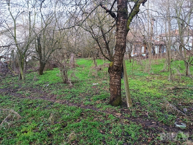 Къща с двор 960кв/м, снимка 3 - Къщи - 53755302