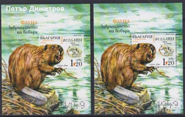 Чисти блокове Музика Рейнбоу 2025 от България, снимка 3 - Филателия - 50957941