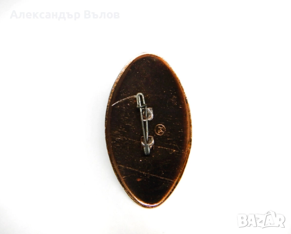 Стара Руска Брошка Лалета Цветя Ръчнорисувана, снимка 3 - Антикварни и старинни предмети - 51614699