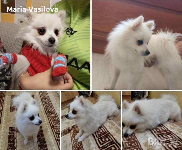 Продава се , снимка 1