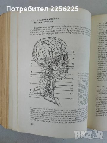 Анатомия на човека, снимка 7 - Специализирана литература - 47319367