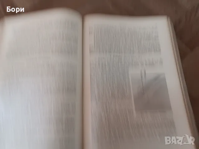 Bibliothek des allgemeinen und praktischen Wissens , снимка 8 - Чуждоезиково обучение, речници - 47826679