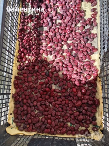 Сушени домашни дренки 