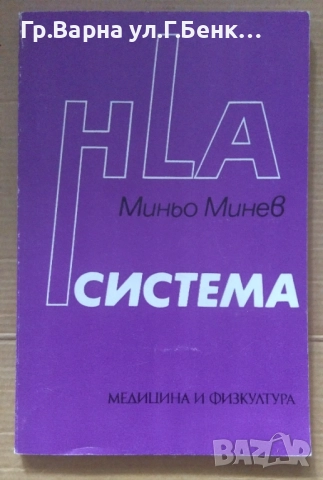 HLA система  Миньо Минев 8лв