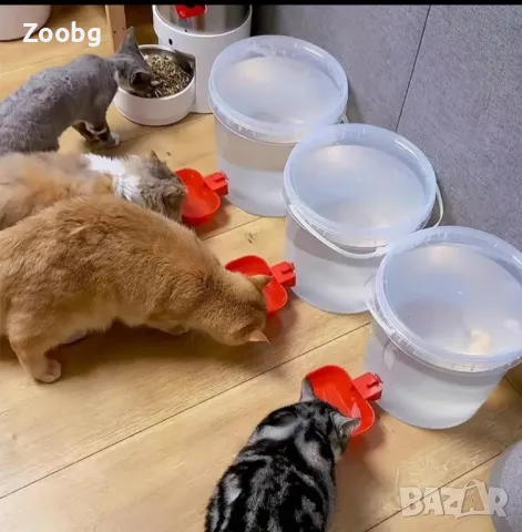 екстра голям размер поилки за кокошки и пуйки, снимка 4 - За селскостопански - 50146338