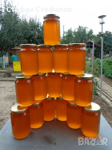  Пчелен мед, снимка 2 - Пчелни продукти - 39013034