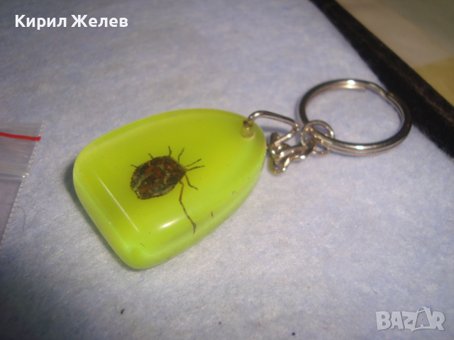 ИНТЕРЕСЕН КЛЮЧОДЪРЖАТЕЛ с ХЕРБАРИЗИРАНО БРЪМБАРЧЕ 14325, снимка 5 - Други - 36246312