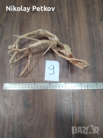 Корени за аквариум, терариум, паладиум , снимка 9 - Аквариуми - 44083269