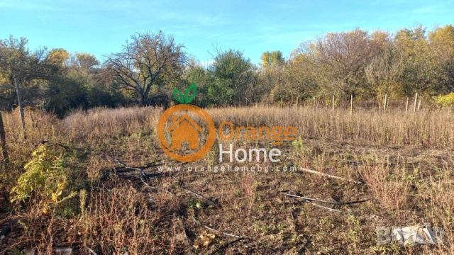 Отличен парцел в регулация 1 980 м2 с ток и вода, асфалтов път, с. Одринци, снимка 10 - Парцели - 52321732