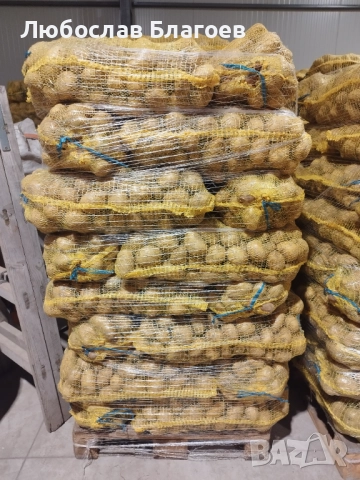 Картофи за консумация, снимка 2 - Домашни продукти - 52015865