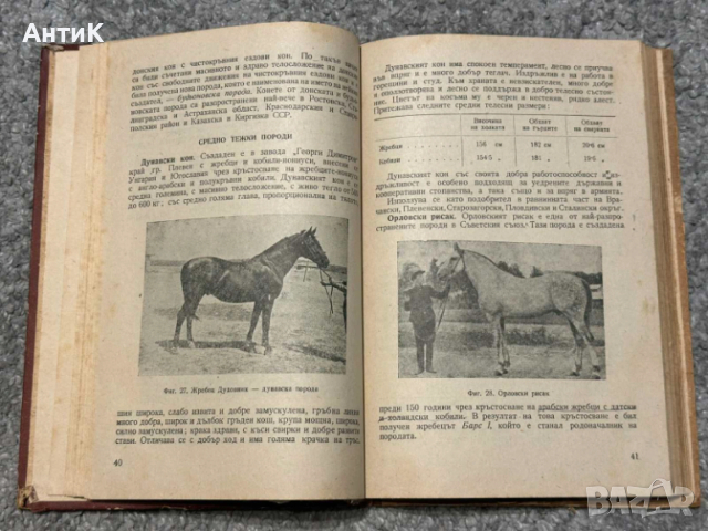 Наръчник по Коневъдство Земиздат 1952, снимка 10 - Специализирана литература - 53713358