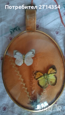 Декорация за стена пеперуди , снимка 4 - Антикварни и старинни предмети - 52129239