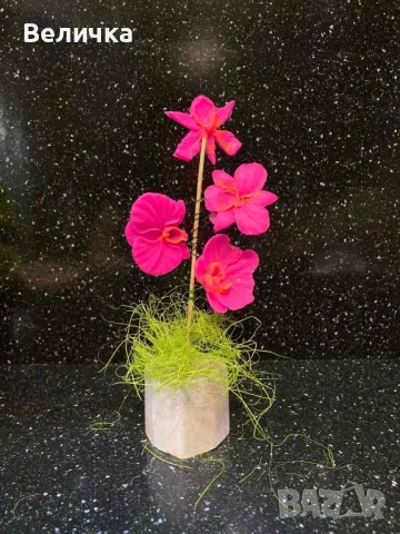 сапунени Орхидеи. , снимка 11 - Други - 48827188