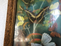 Пано с екзотични пеперуди, снимка 5