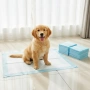 Хигиенни пелени-подложки за кучета XL 40х60 см – силно абсорбиращи и непромокаеми, снимка 1