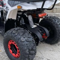 ATV MaxMotors Grizzly LED ROLLBAR 150 CC с 8” гуми, автоматична скорос, снимка 3 - Мотоциклети и мототехника - 41756938