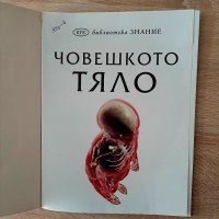 Човешкото тяло -енциклопедия, снимка 2 - Енциклопедии, справочници - 40054077