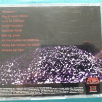 The Mist Of Avalon – 2CD (Goth Rock,Darkwave), снимка 6 - CD дискове - 39130849