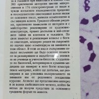 Атлас клетка и тъкани - Е.Чакъров,Ч.Начев - 1993г., снимка 3 - Енциклопедии, справочници - 39907688