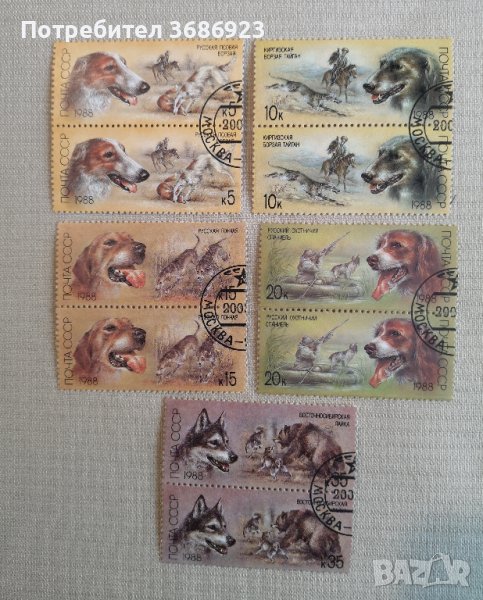 Ловни кучета от СССР-1988г, снимка 1