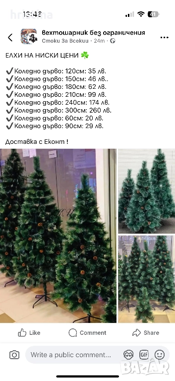 Коледна Елха, снимка 1