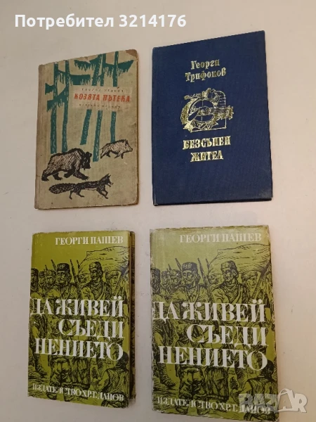 Безсънен жител - Георги Трифонов, снимка 1