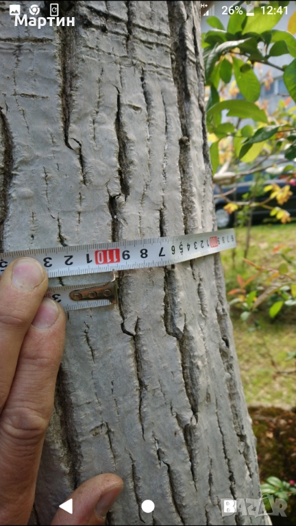 Продавам орех дървен материал , снимка 1