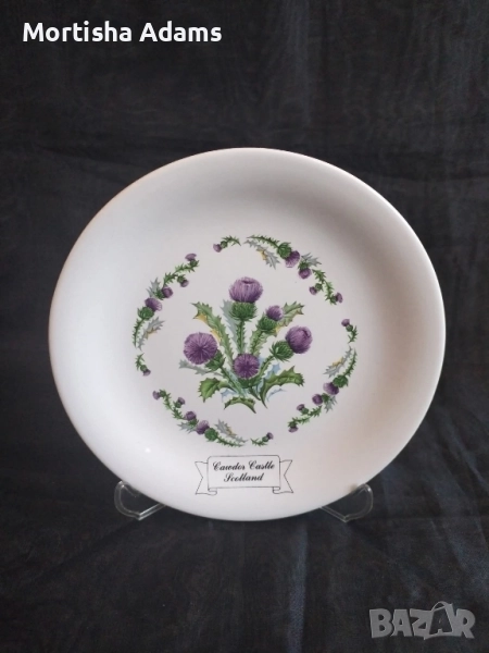 Сувенирна чиния "Магарешки бодил", снимка 1