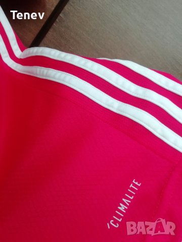 Benfica Adidas оригинална нова детска тениска фланелка Бенфика 9-10 - 140 cm, снимка 7 - Детски тениски и потници - 41968316