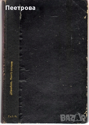 Рядка книга от 1905 год., с автор д-р Иван Касабов, снимка 11 - Други ценни предмети - 36109956