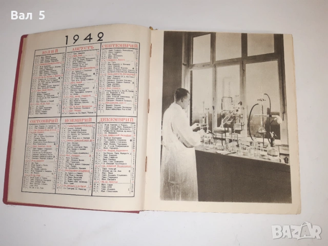 Рекламен календар на BAYER , БАЙЕР Царство България 1942 г, снимка 3 - Други - 53308503