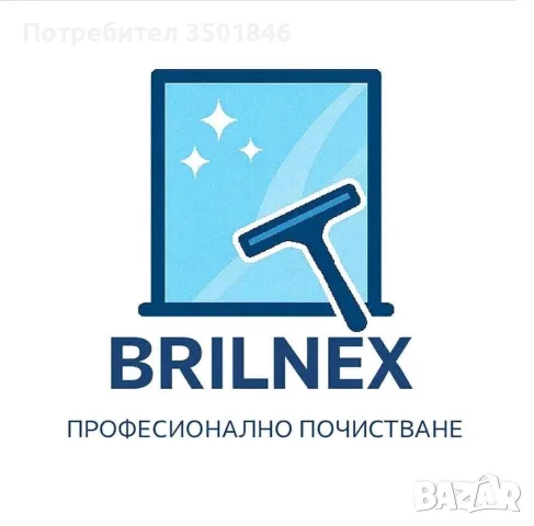 Професионално почистване