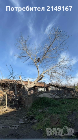 Рязане почистване извозване , снимка 12 - Други услуги - 53743500