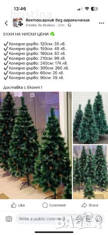 Коледна Елха