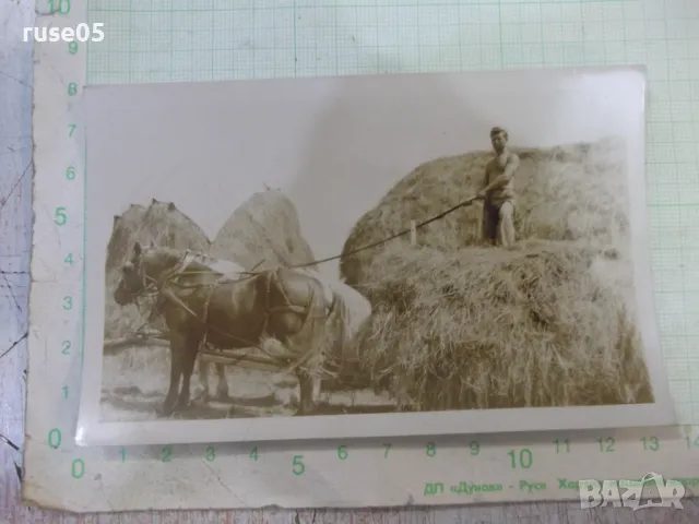 Снимка стара на мъж върху сламата на каруца