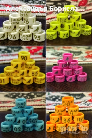 Пръстени за спортни пощенци 2026г., снимка 3 - Гълъби - 30156561