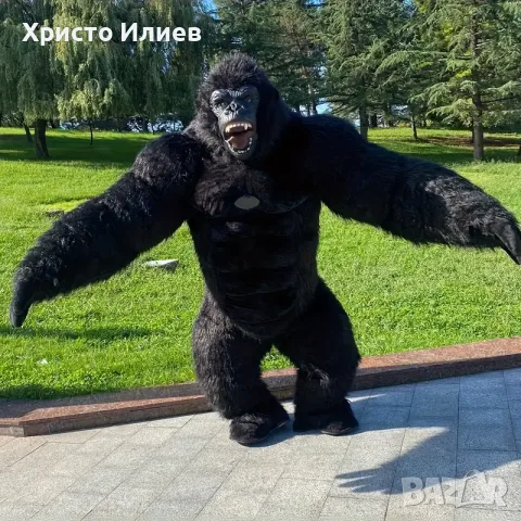 Голям Надуваем Костюм Маймуна Горила за изненади детски рожден ден парти