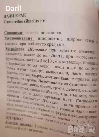 Гъбите, как да ги разпознаем- Емилия Боева, снимка 2 - Българска литература - 39863297