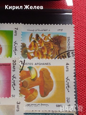 Пощенски марки смесени серий РИБИ,ГЪБИ редки за КОЛЕКЦИЯ 33346, снимка 9 - Филателия - 40422601