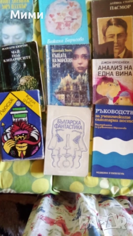 Книги, учебници и учебни помага, речницила, снимка 2 - Художествена литература - 52536868