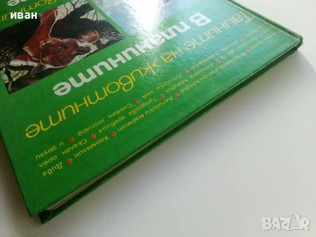 Тайните на животните  - В планините / В саваните - 1991г., снимка 11 - Енциклопедии, справочници - 47526666