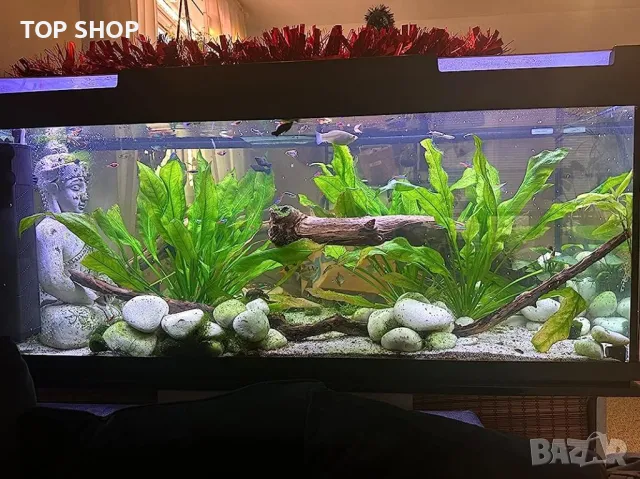 Нов Вътрешен филтър за аквариум с 3-степенна филтрация/10W, снимка 3 - Аквариуми - 49426134