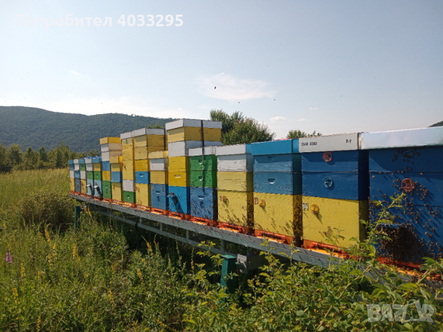 Пчеларски платформи 2 броя с 64 кошера,всяка платформа е с капацитет 32 кошера.цена без кошери 16000, снимка 4 - Други животни - 44806686